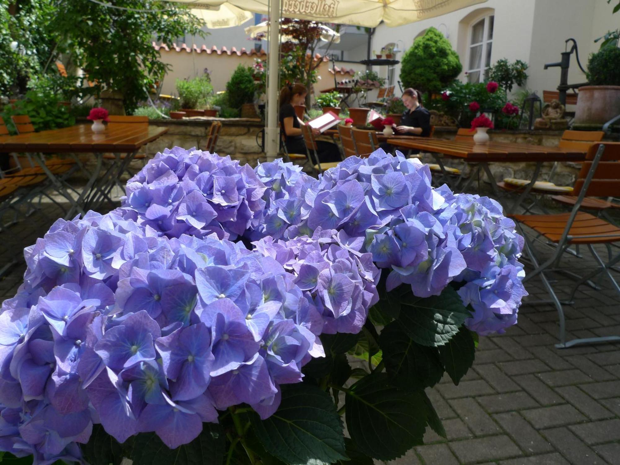 Hotel-Restaurant Roter Ochsen Lauchheim Экстерьер фото